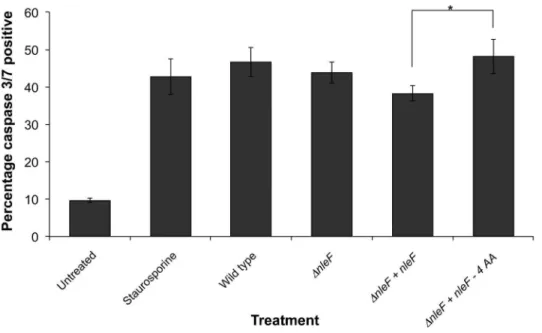 Figure 5. Caspase 3/7 activity in infected HeLa cells. HeLa cells were infected with wild type EPEC strain E2348/69, D nle F deletion mutant, or D nle F complemented in single copy with nle F variants for 2.5 to 3 hours