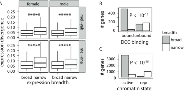 Figure 7. Association between expression breadth, DCC binding, chromatin state, and expression divergence