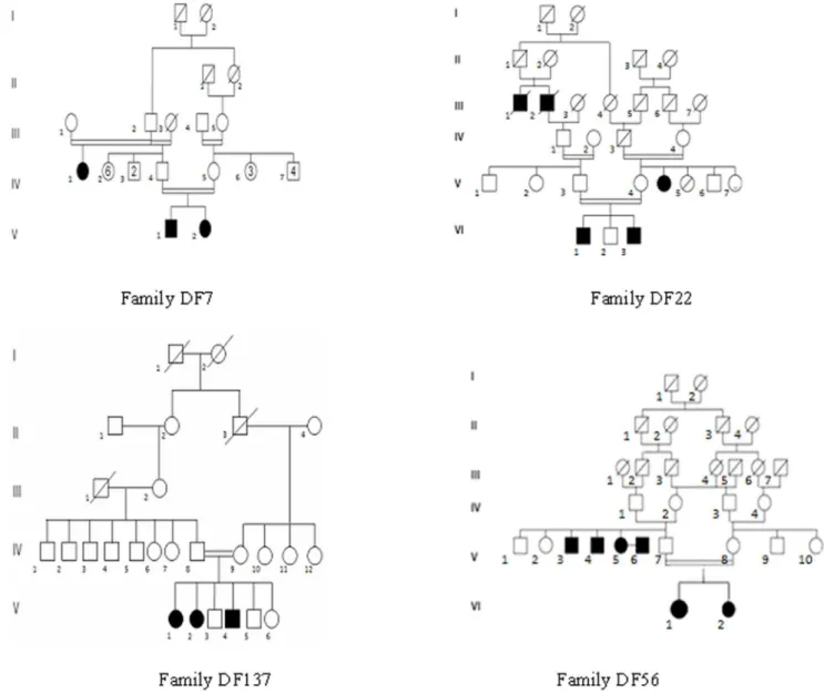 Figure 1. Pedigrees of the four Tunisian families analyzed using the whole exome sequencing strategy.