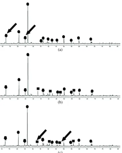 Fig. 3. X-Ray powder diffraction analysis of the tailings samples after treatment with lake  water