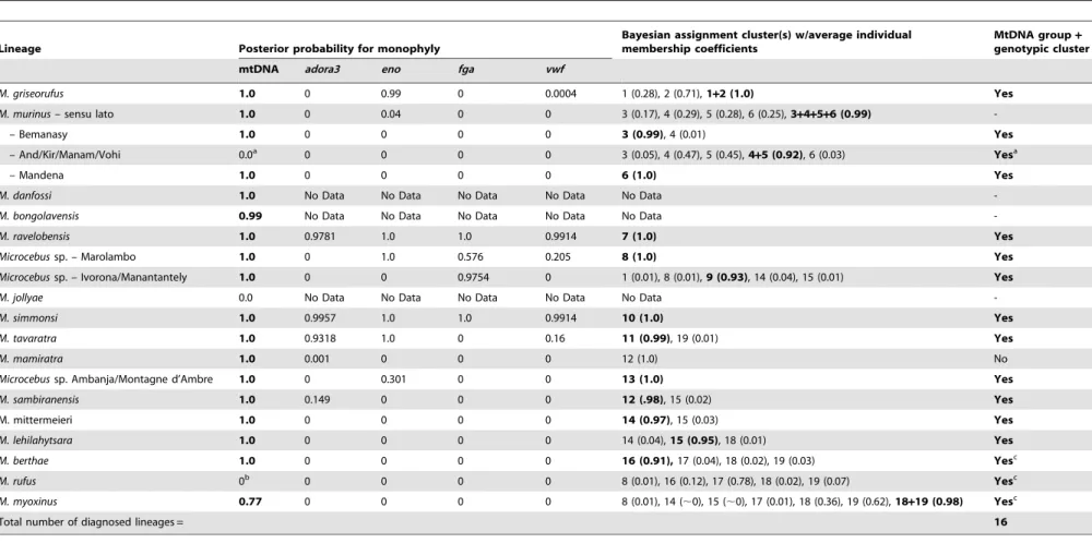 Table 2. Probability of monophyly in the single-gene Bayesian posterior distributions and nuclear cluster assignments for Microcebus species and populations.