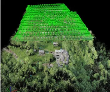 Figure 8A screen shot of the oriented images in the area of  Campofei 