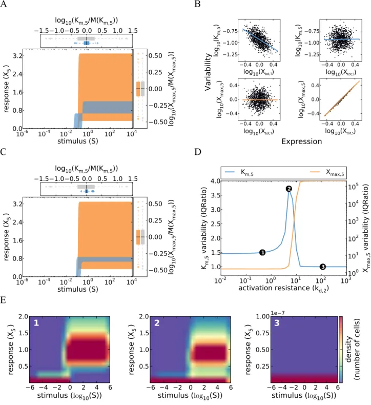 Figure 3. Cell-to-cell variability of kinase cascades with distributed ultrasensitive switching
