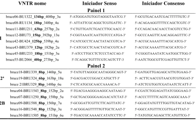 Tabela 1- Iniciadores utilizados nos painéis 1 e 2 (2A e 2B) do MLVA 16 (Le Flèche  et al., 2006; Al Dahouk et al., 2007) 