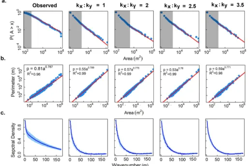 Figure 5. (a) Patch size distributions (blue dots) and power law fits (red line) with cuto ff s (gray shade); (b) perimeter–area relationships and (c) r-spectrum plots with 95 % confidence  inter-vals.