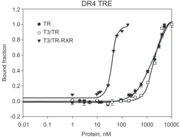 Figure 2. Thyroid Hormone Receptor on positive regulatory element (DR4). Fluorescence anisotropy curve of binding TR DL (black dots), T3/TR DL (white dots) and T3/TR DL+RXR DL to  fluorophore-labelled sequence DR4 (black triangles)