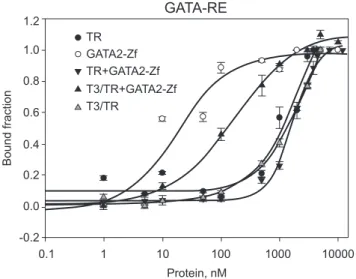 Figure 6. TR DL and GATA2-Zf on canonical GATA-RE.