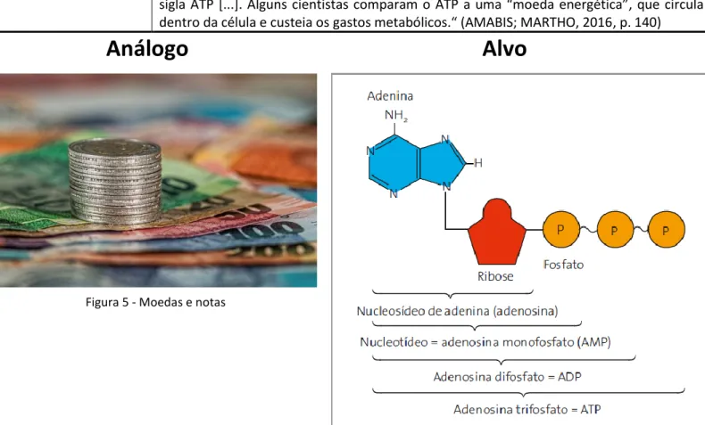 Figura 5 - Moedas e notas 