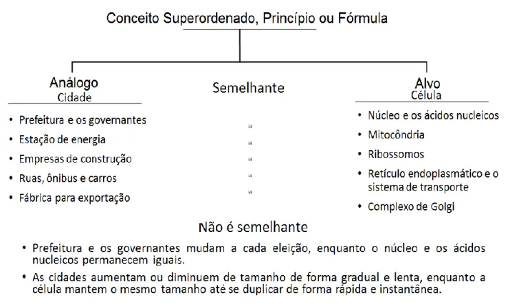 Figura 1 - Modelo analógico relacionando uma cidade com uma célula 