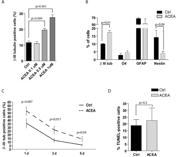 Fig. 4D). These results indicate that activation of CB 1 during NSC differentiation in vitro promotes the maturation of neurons.