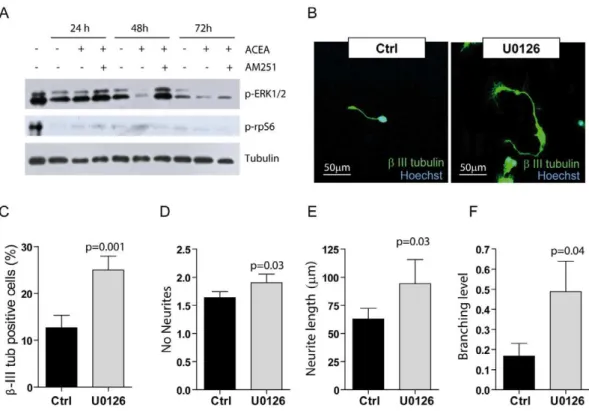 Table 1). Noteworthy, ACEA modulated the expression of genes involved in neural cell fate determination and in neurite outgrowth (Table 2)