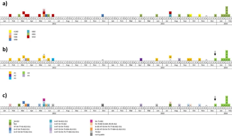 Fig 2. Epidemiological curve according to spa type (a), PFGE type (b) and phage type (c)