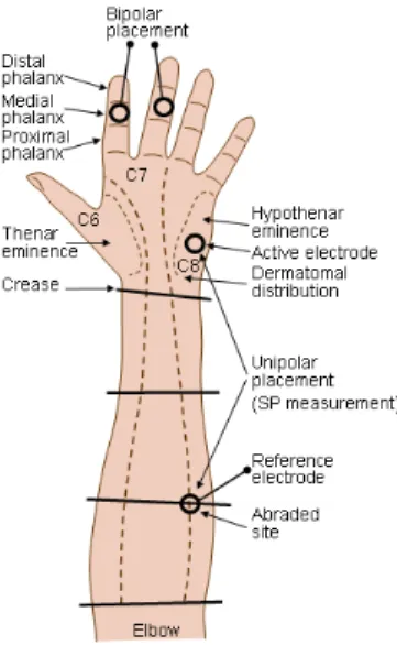 Figure 3. Recommended placement of electrode sites for the measurement of skin resistance and skin  potentials (Redrawn from Venables &amp; Christie, 1980) 