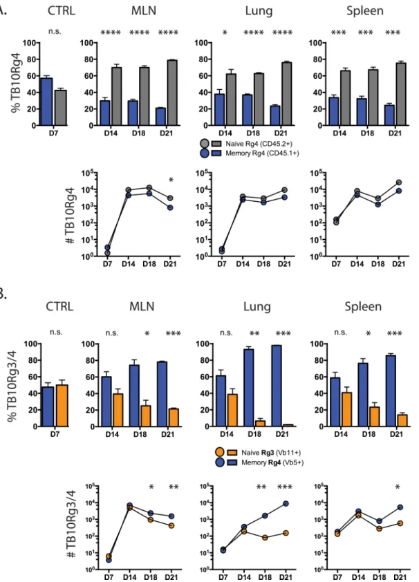 Fig 6. Memory CD8 + T cells with a higher affinity TCR can display improved responses during tuberculosis