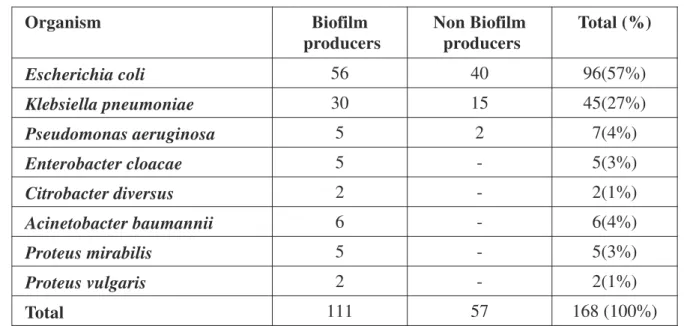 Table 1: Distribution of 168 Urinary Isolates Positive for Biofilm Formation by TCPM