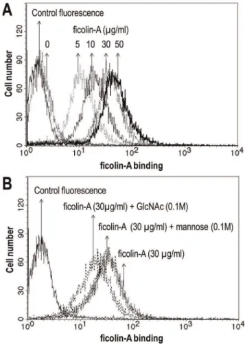 Figure 6. Binding of ficolin-A to A. fumigatus conidia using flow cytometry. A. fumigatus (1.4 6 10 6 cells) were incubated with elevated concentration of ficolin-A (A)