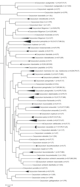 Figure 1. Neighbour-joining tree (Kimura 2 parameter, built with MEGA 5; cf. Tamura et al