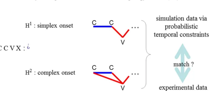 Fig 3. Model overview. Given any sequence of consonants and vowels, here “ C C V X ” , we exemplify our modelling paradigm by asking: is the sequence parsed in terms of syllables of the simplex or the complex onset type? To evaluate the two hypotheses, H 1
