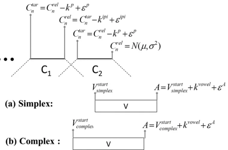 Fig 4. Summary of word simulation algorithm. Consonant landmarks are generated from the release of the immediately prevocalic consonant