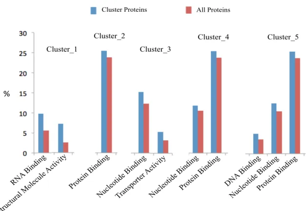 Figure  29  GO  Slim  terms  of  more  abundant  proteins  for  Molecular  functions  for  all  clusters