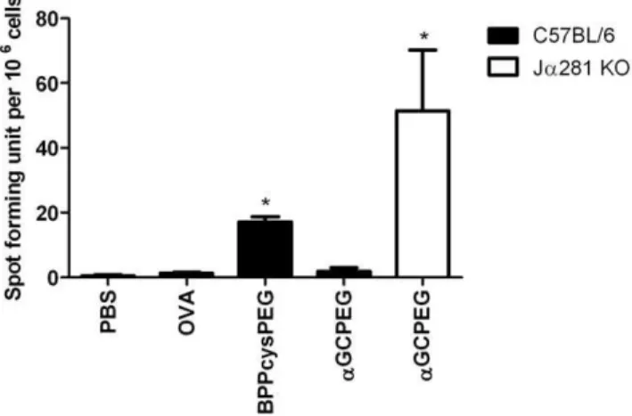 Figure 4. NKT cells block Th17 differentiation after i.n.