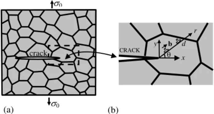 Fig. 1. Crack in a deformed nanocrystalline or ultrafine-grained solid. (a)  General view