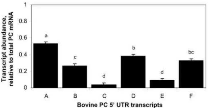 Figure 4. Contribution of PC 5 9 UTR variants to total PC mRNA on +1 d relative to calving