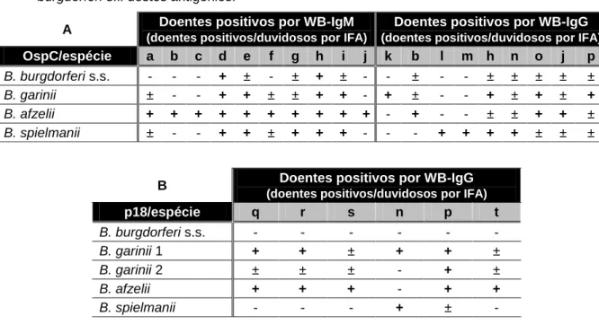 Tabela 3.5  (A e B) – Distribuição dos doentes da população problema (indicados como  seroreactivos  por  IFA)  que  foram  positivos  nos  testes WB-IgM  e  -IgG  para  as  fracções  antigénicas  OspC  (A)  e  p18  (B),  analisados  segundo  a  divisão  p