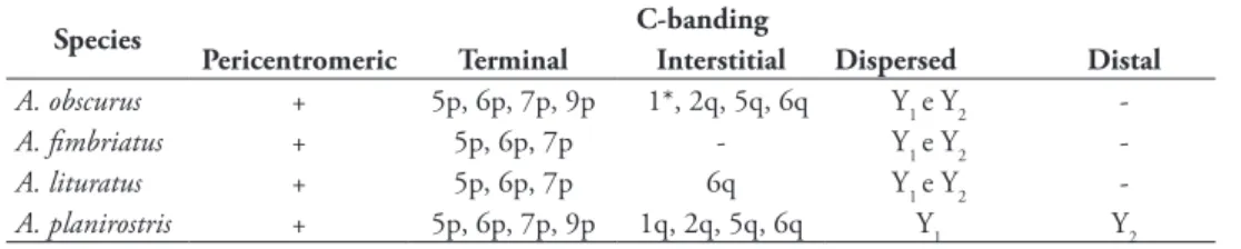 table 1. Heterochromatin pattern in chromosomal complement in Artibeus species