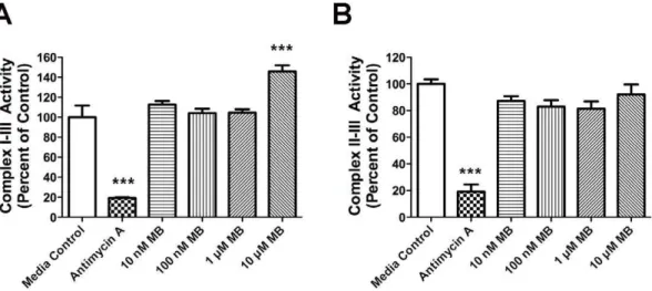 Figure 1. MB enhances mitochondrial complex I–III activity. MB enhances mitochondrial complex I–III activity (A), but not II–III (B) activity in mitochondria isolated from rat brains