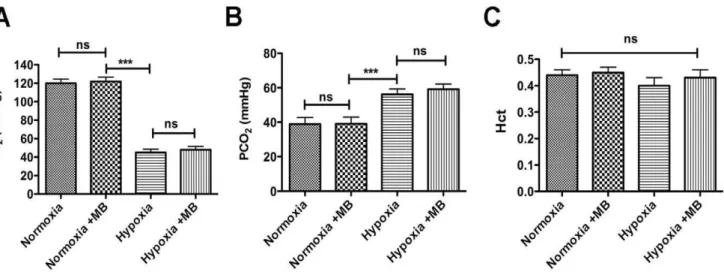 Figure 7. MB did not affect PO 2 , PCO 2 , and hematocrit (Hct). (A) PO 2 decreased under hypoxia but did not change with MB treatment (under either condition)