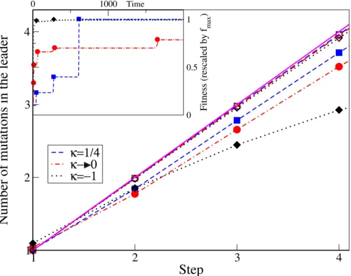 Fig 4. The main plot shows the number of mutations in the leader at any step for various κ and mutation rates