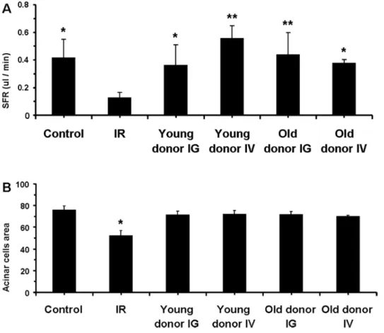 Figure 7. Levels of key electrolytes in saliva. Electrolytes in saliva (such as sodium, potassium, chloride, and calcium concentration levels) were not different among groups, except for calcium levels (P.0.05; N = 5 to 9 mice per group).