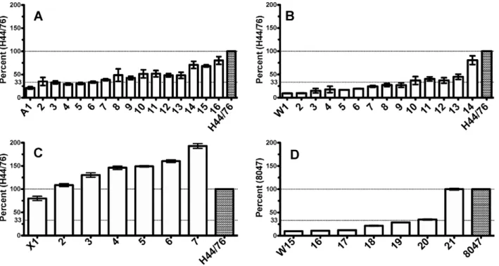 Figure 3. Expression of fHbp by representative African isolates as measured by a quantitative Western blot