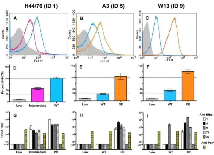 Figure 6 shows the anti-fHbp bactericidal titers of antisera prepared to different recombinant fHbp sequence variants in variant groups 2 or 3 when measured against wildtype serogroup W-135 isolates with fHbp ID22/23 in variant group 2