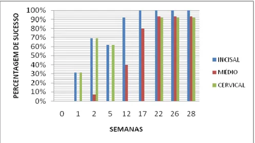 Gráfico 3.1 Evolução da mudança de cor. 