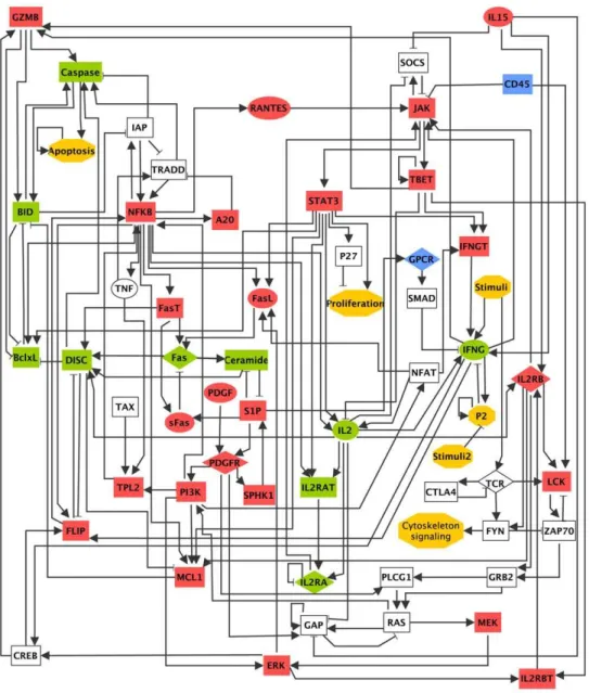 Figure 1. The T-LGL survival signaling network. The shape of the nodes indicates the cellular location: rectangular indicates intracellular components, ellipse indicates extracellular components, and diamond indicates receptors