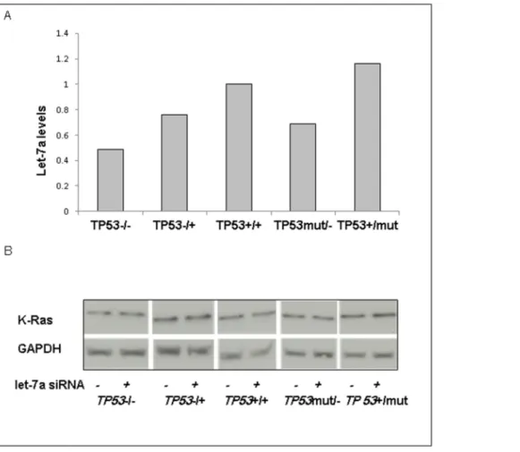 Figure 3. K-Ras activity is increased in cells with let-7a inhibition. Cell lysates were collected following 72 h incubation and subjected to a Raf-pull down assay which measures K-Ras activity