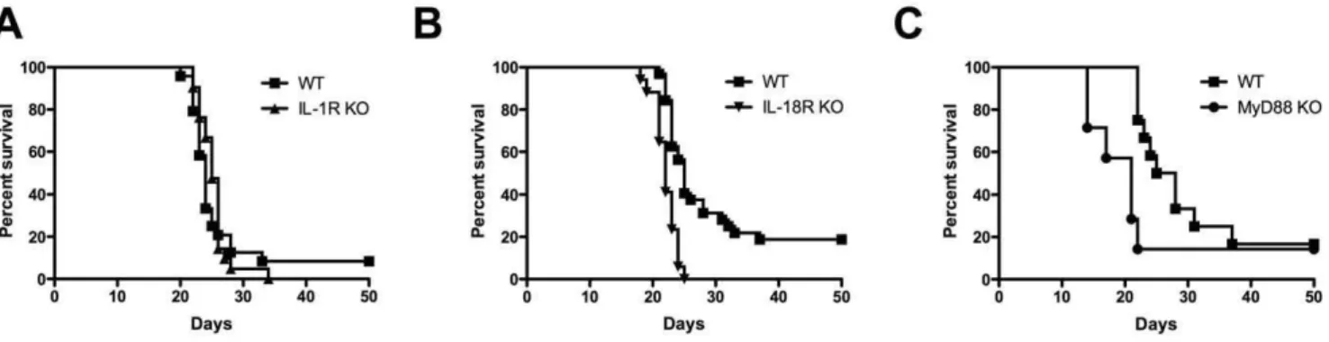 Figure 1. Survival of C57BL/6 wild-type, IL-18R knockout, IL-1R knockout, and MyD88 knockout mice following infection with C.