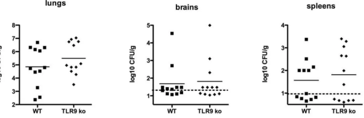 Table 2. Chemokines/cytokines increased in lungs of wild-type and TLR9 knockout mice infected with C