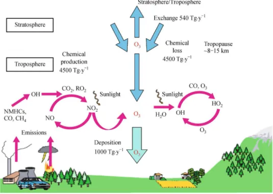 Fig. 1 A schematic view of the sources and sinks of ozone (O 3 ) in the troposphere [3] 