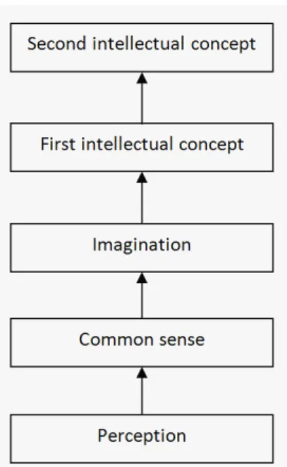 Figure 3: The procedure of generation of first and second  intellectual concepts in Avicenna’s model