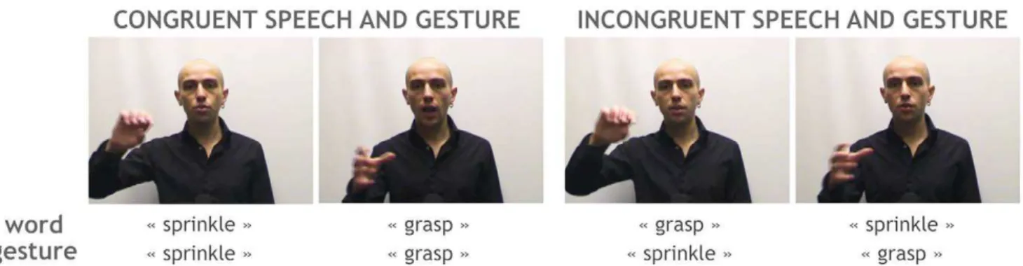 Figure 1. Stimuli. Stillframes of video stimuli from the two audiovisual conditions where Speech and Gesture were either Congruent (SGC) or Incongruent (SGI)