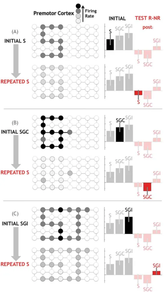 Figure 8. Neuronal model explaining activations and repetition effects associated with the presentation of an action word, and the modulation of theses effects by the audiovisual context