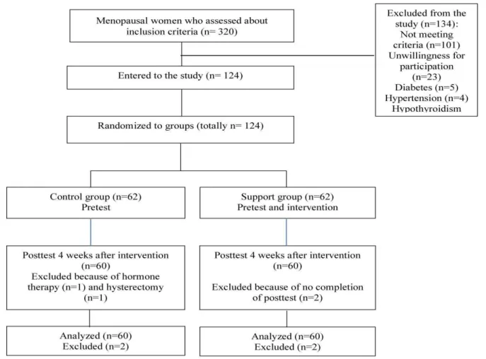 Diagram 1. Flow chart of the study 