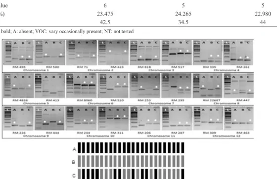 Figure 2. DNA ingerprints of IET21974 (CR 2459-12-8). i. DNA ingerprints generated with different markers