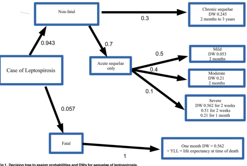 Fig 1. Decision tree to assign probabilities and DWs for sequelae of leptospirosis.