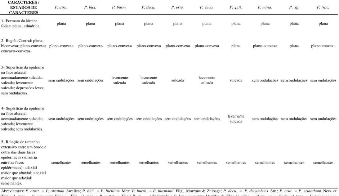 Tabela C. Caracteres anatômicos das lâminas foliares em secção transversal das espécies em estudo: vista panorâmica geral.