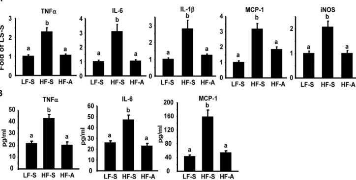 Figure 2. AICAR treatment suppresses inflammation in DIO mice. (A) Adipose cytokine expression in DIO mice treated with AICAR