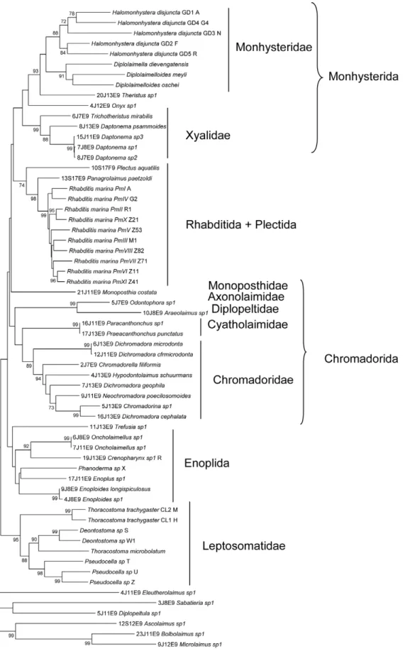 Figure 3. NJ-tree of the I3-M11 partition based on K2P genetic distance. Sequences with voucher number are from this study, sequences without voucher numbers are from previous population genetic studies